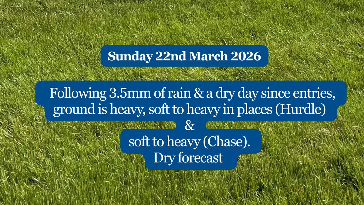 Limerick Races tweet media