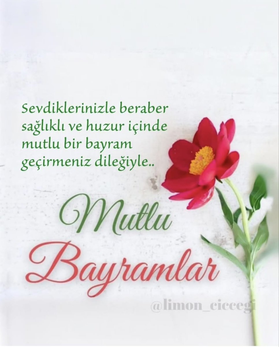 Cuckold Çiftler Mekanı 🌹🍒🍓 tweet media