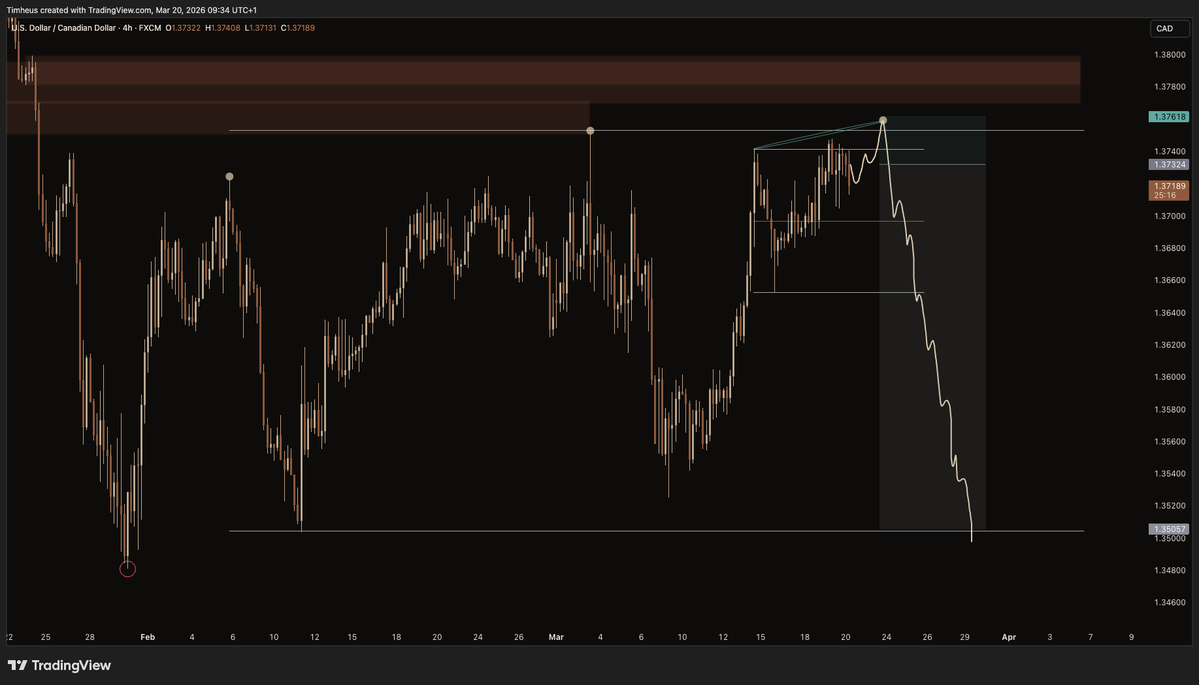 Tim Heus tweet media