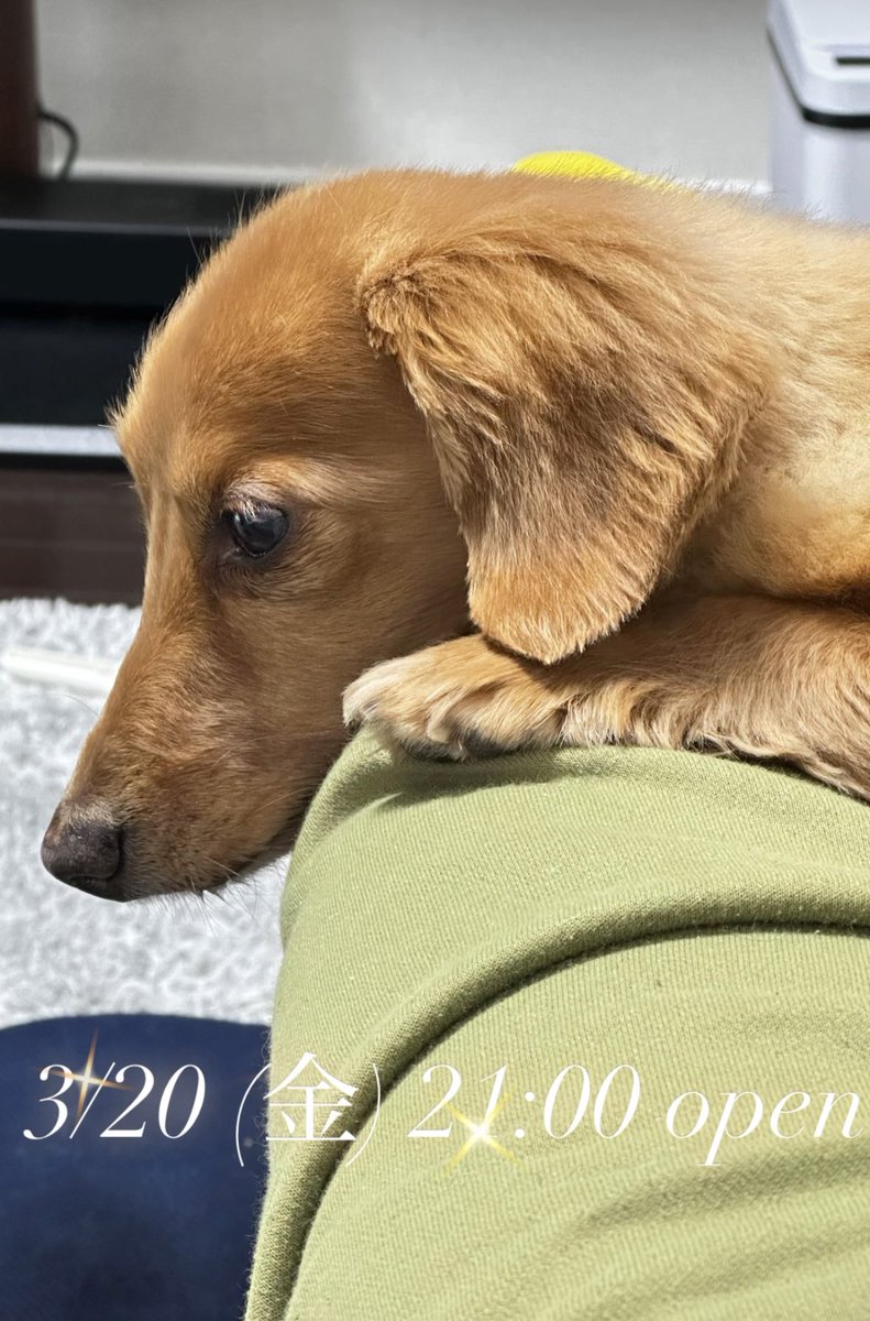 隠れ家BAR二軒目 (@nikenme2022) on Twitter photo 