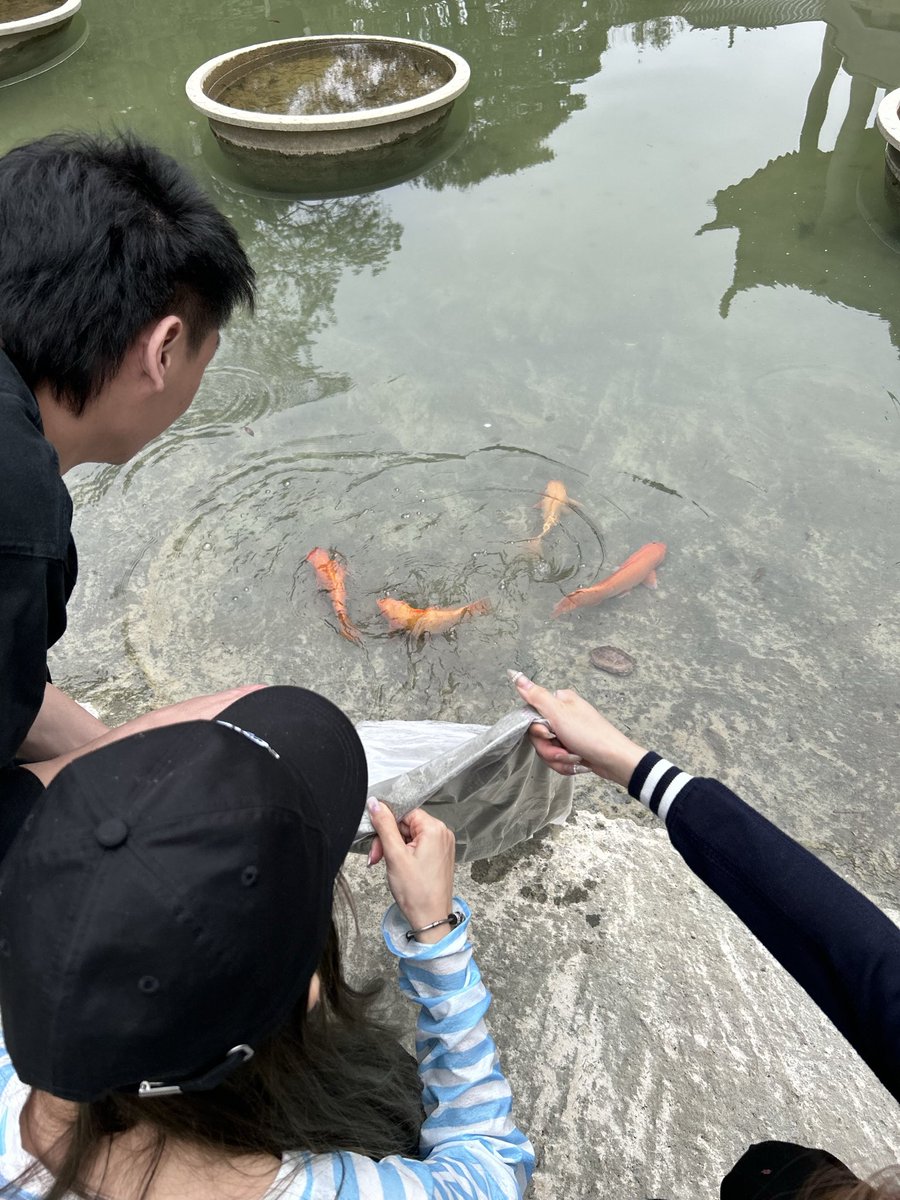 HeyElwin tweet media