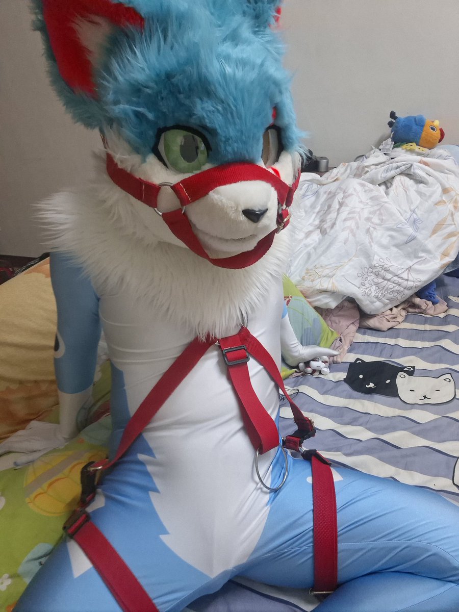 AsaKura_Dim 幽 tweet media