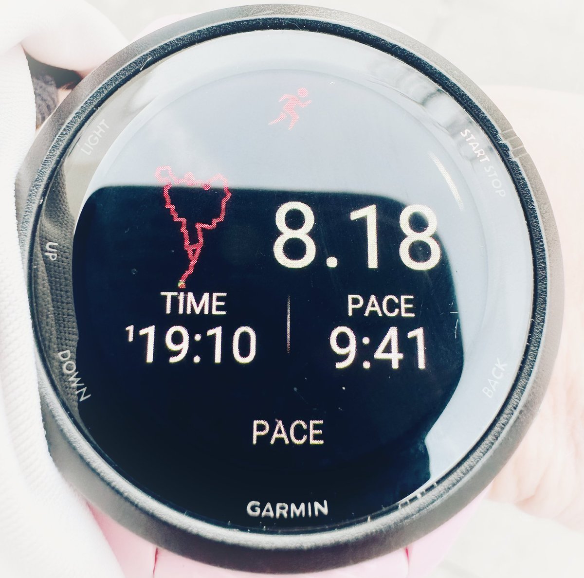 Sarah Kern tweet media