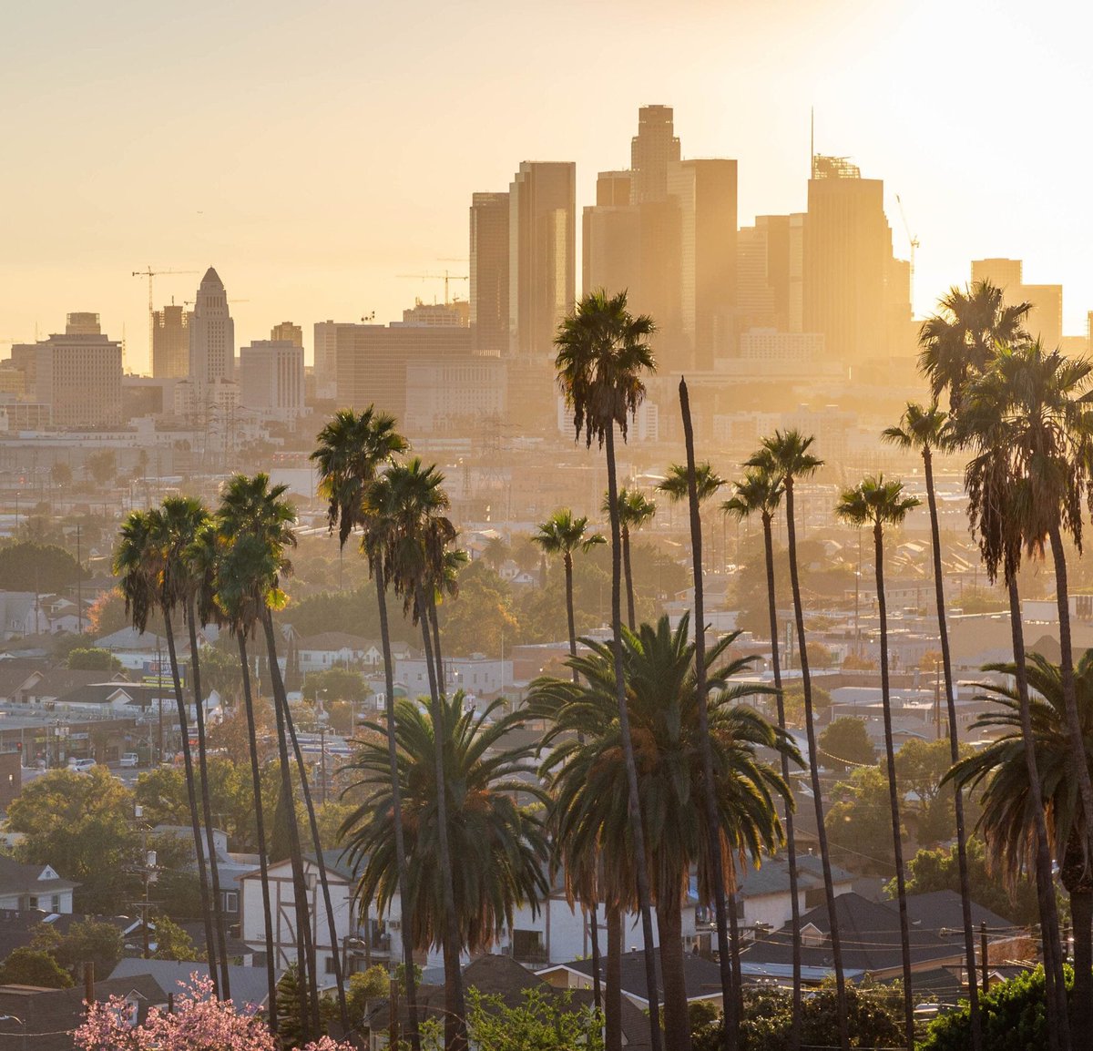 Yelawolf FR 🐺🇫🇷 tweet media