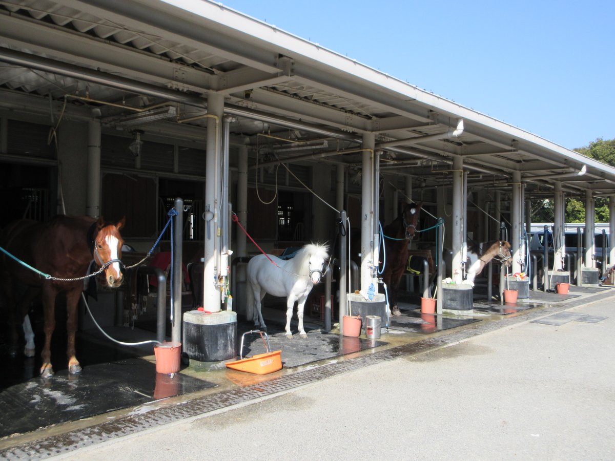 三木ホースランドパーク tweet media