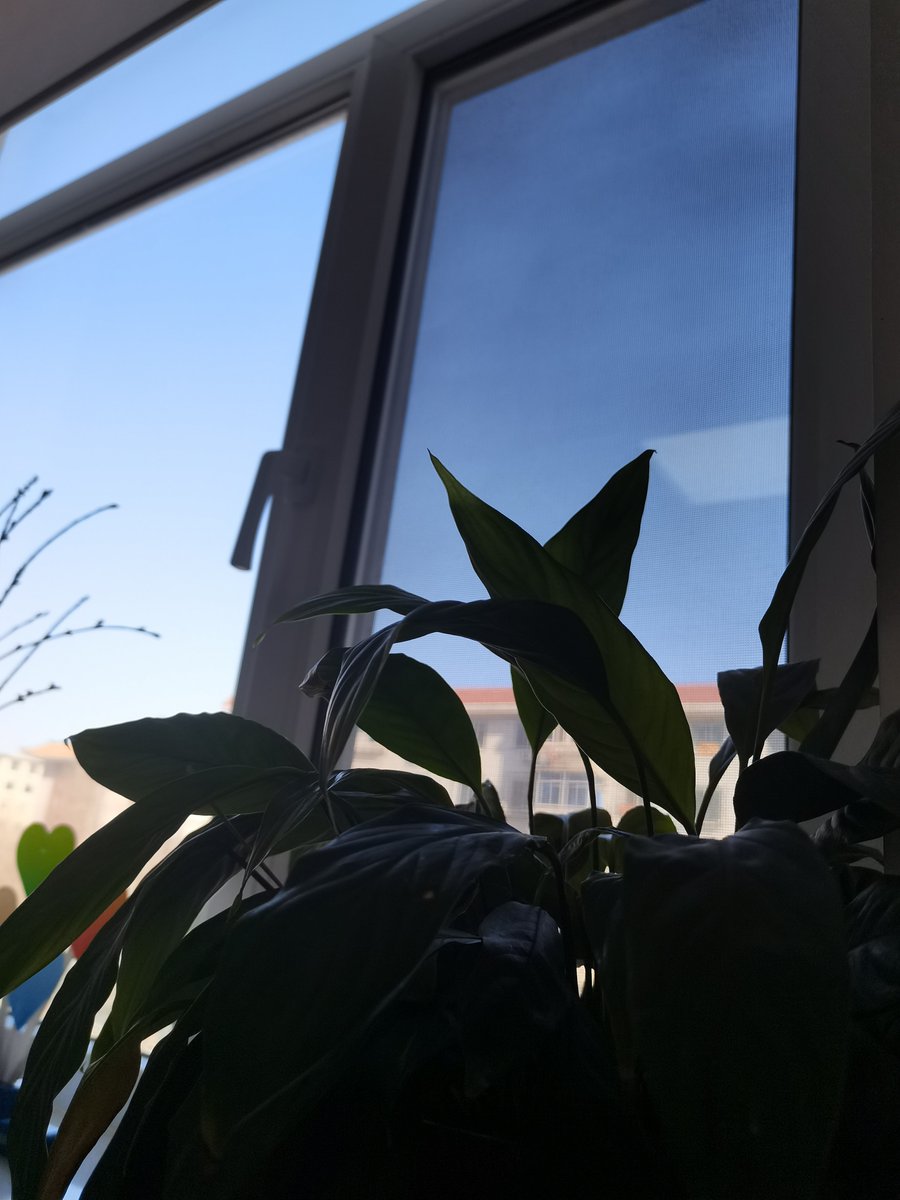 Stéphane GUERER tweet media