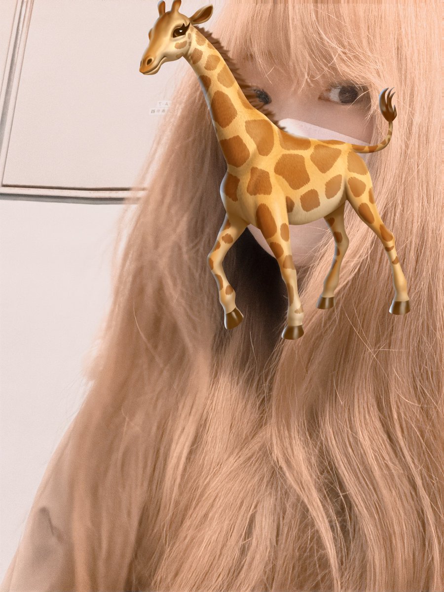 KYOKO🥀🎹@SCORE tweet media