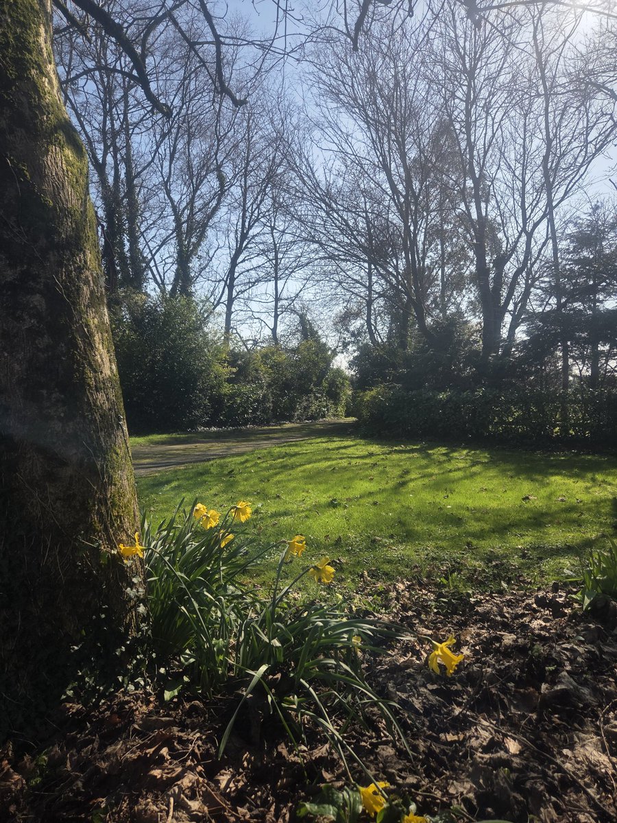 Evelyn Pepperrell tweet media