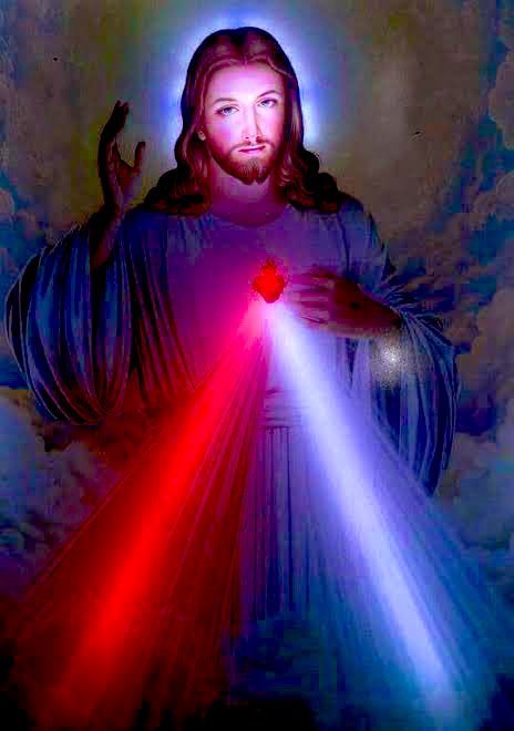 RosarySon tweet media