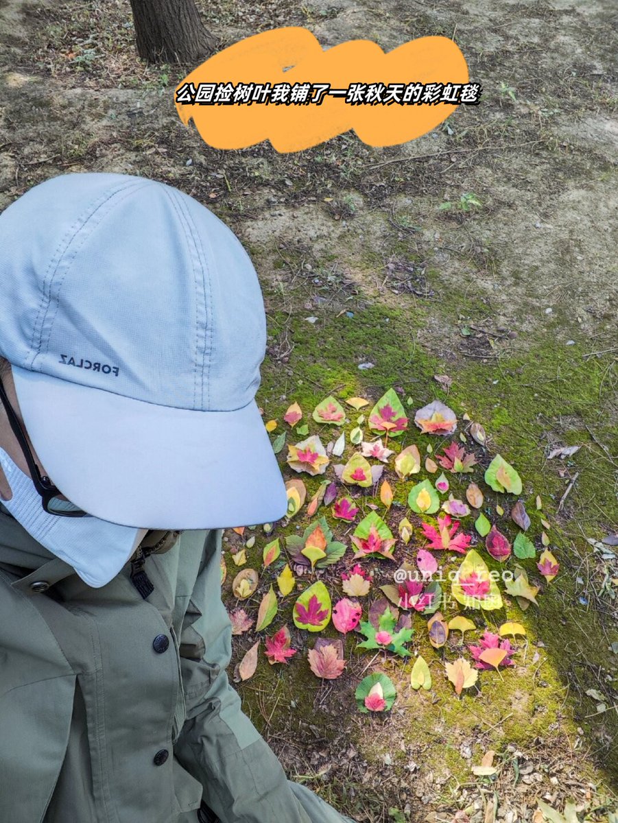 Jimmy Jansson tweet media