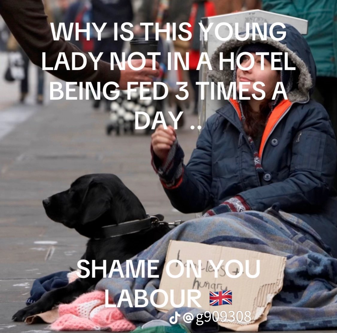 Essex Bloke tweet media