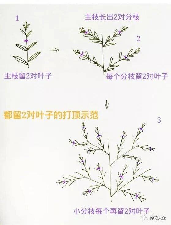 Daniel Messervy tweet media