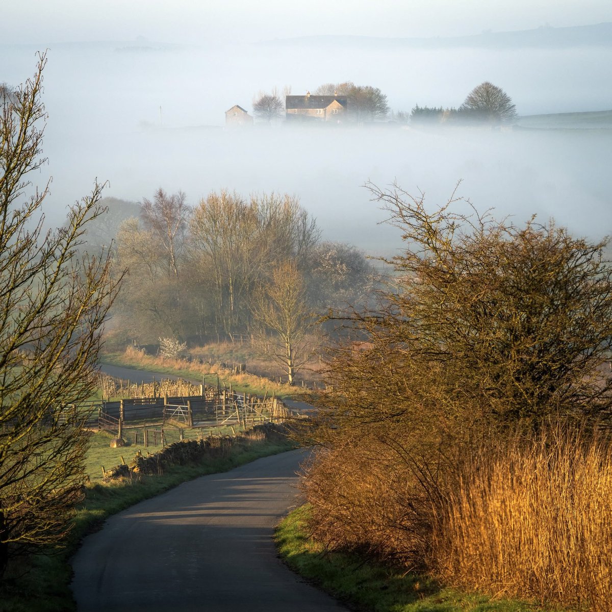 peaklass tweet media