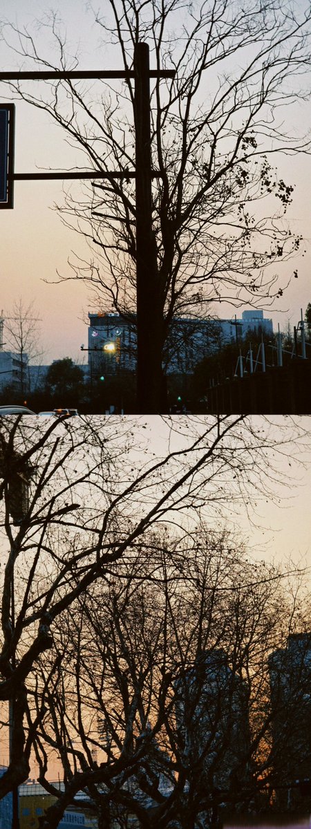 India Pendse tweet media