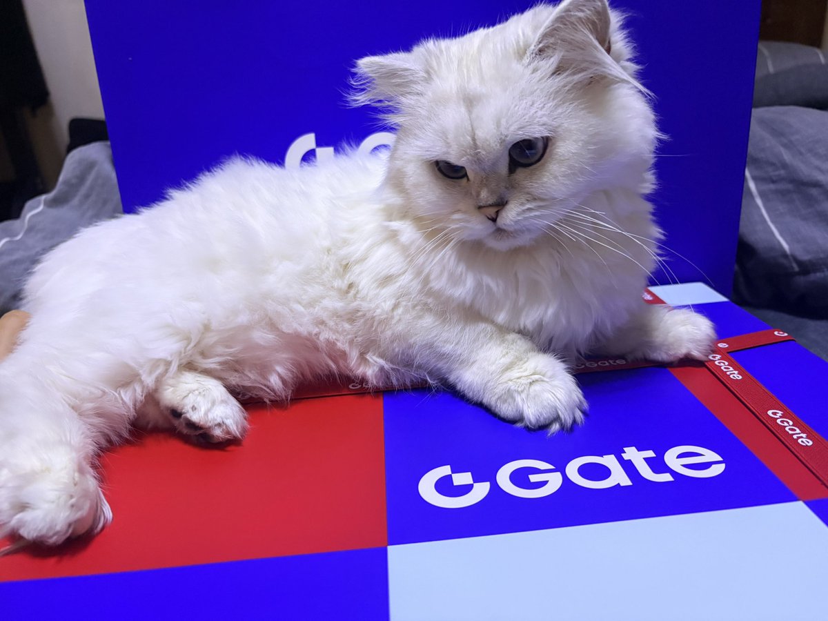 Rita👻💢 tweet media