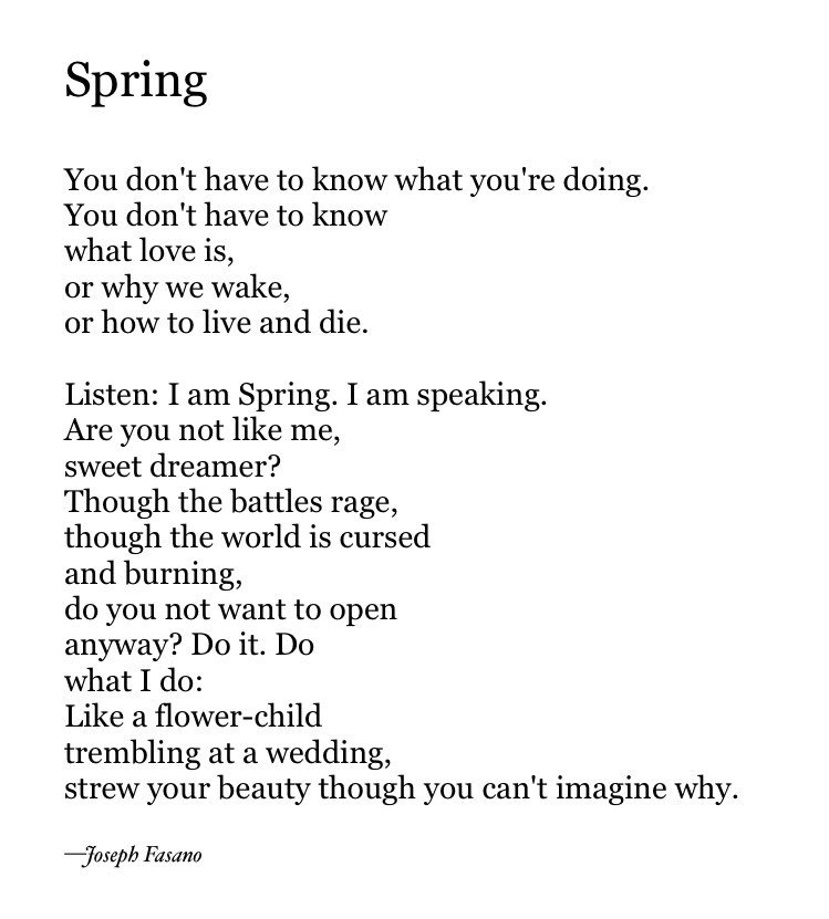 Joseph Fasano tweet media