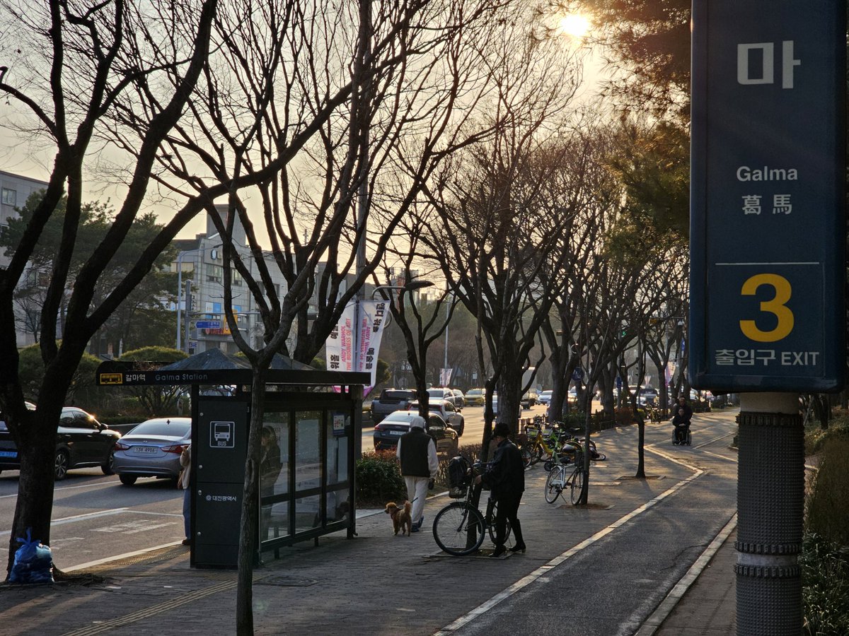 먀웅이 tweet media