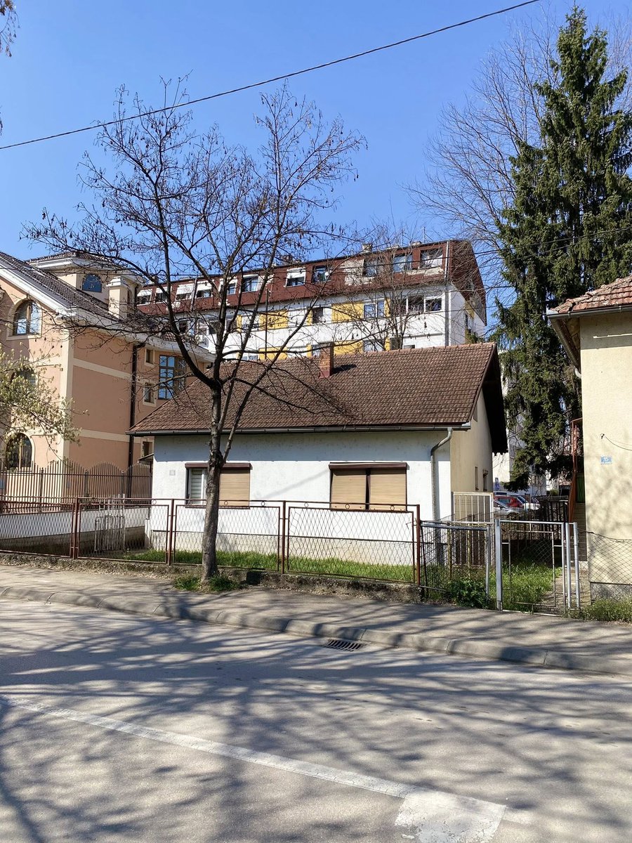 Dragan Risojevic tweet media