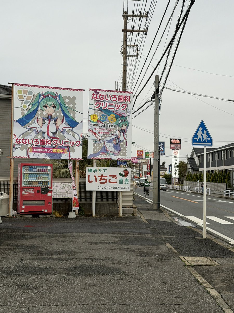 スタヒロボックス総合/富士ヒルシルバー特訓中 tweet media