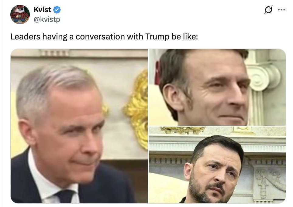 Selinaria tweet media