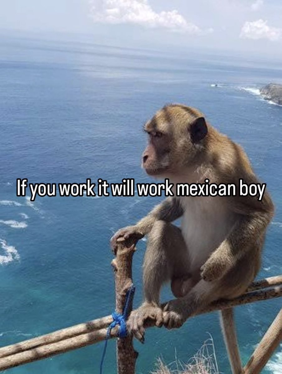 El Señor De Los Memes tweet media