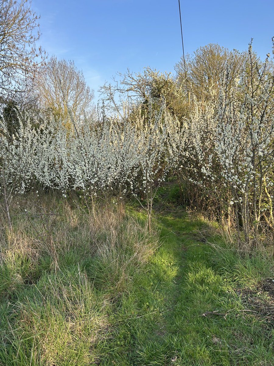 Kate Whittaker tweet media