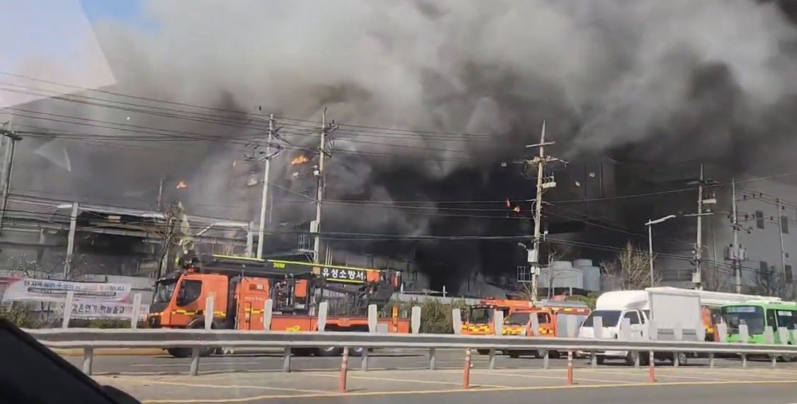 ˚로로•૮₍ •̀ ᴥ •́ ₎ა tweet media