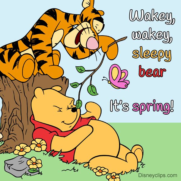 Keith Bache tweet media