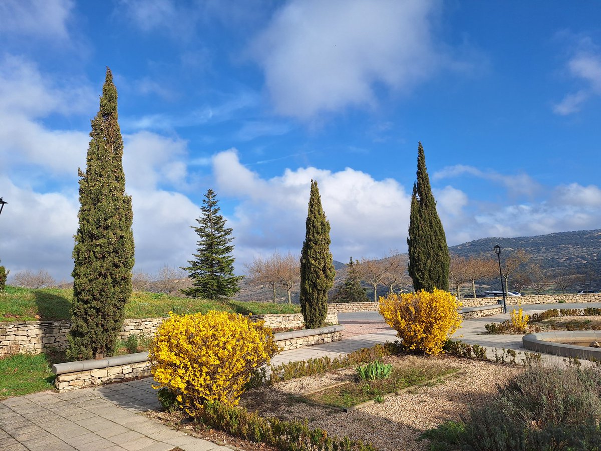 Juan Amela tweet media