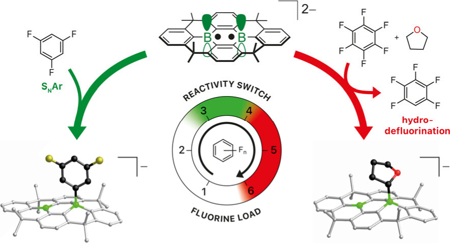 Boron_Chemistry's tweet photo. Planarity  Is Not Plain: Closed- vs Open-Shell Reactivity of a Structurally  Constrained, Doubly Reduced Arylborane toward Fluorobenzenes (@MWagnerLab): https://t.co/aAT02AuXy1 (@J_A_C_S). https://t.co/qnQh7PZ7gU
