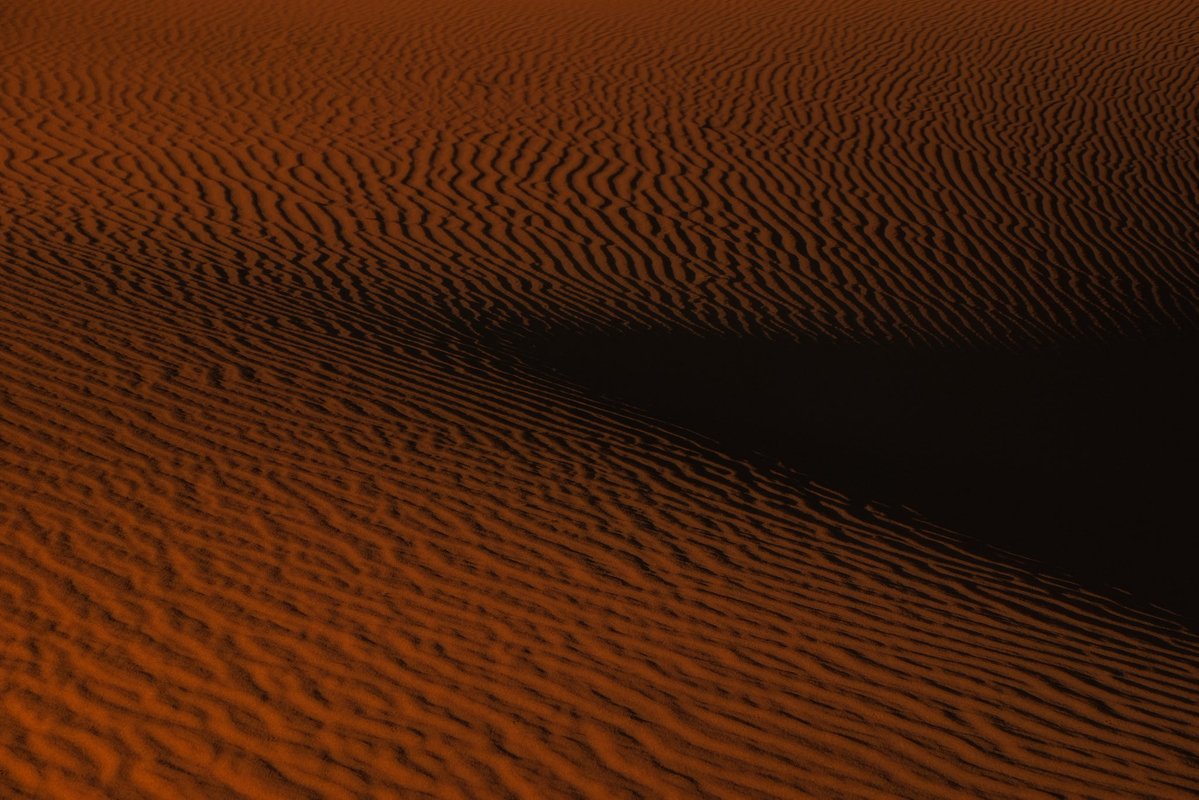 Michael Buda || DropBear Visuals 📸 tweet media