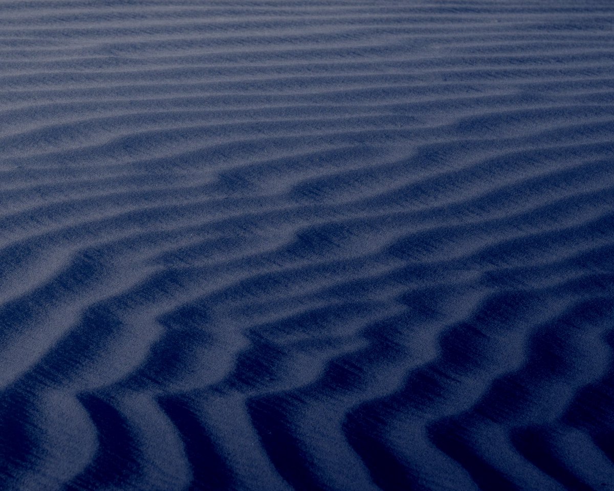 Michael Buda || DropBear Visuals 📸 tweet media