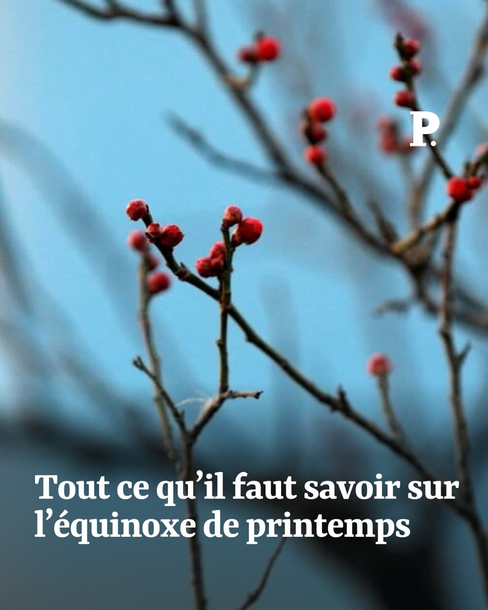 Le Point tweet media