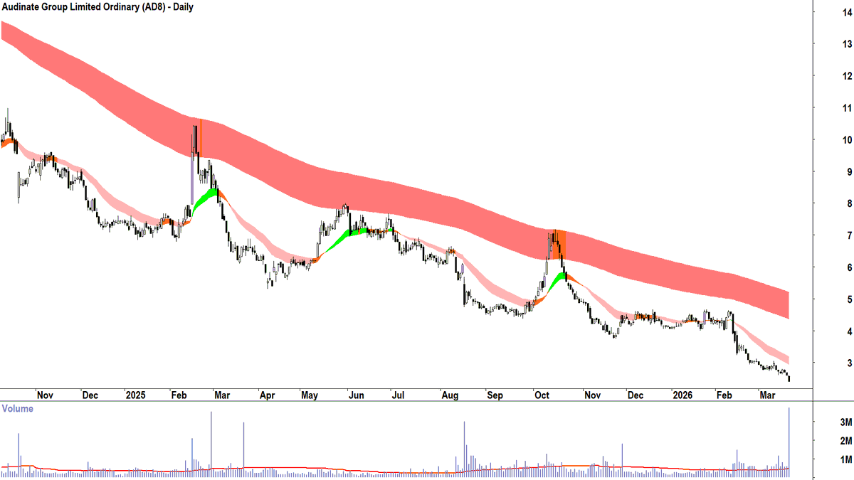 Carl Capolingua tweet media