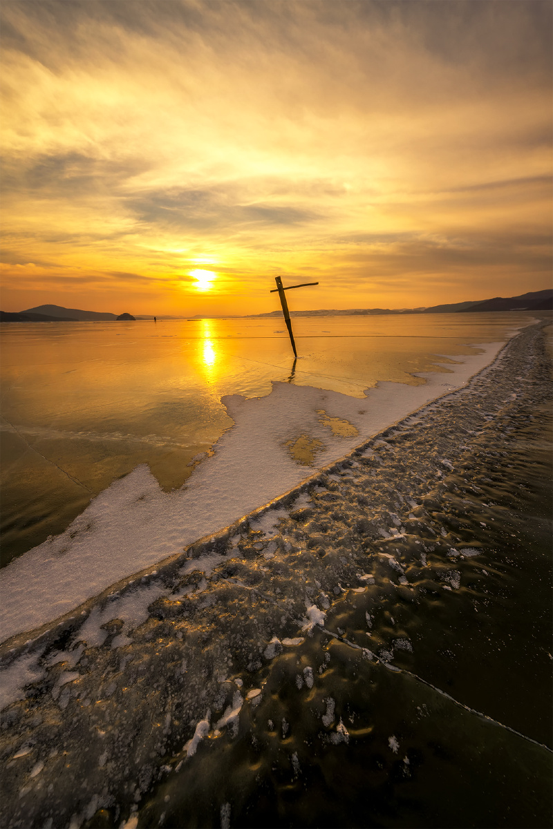 hartanto lubis tweet media