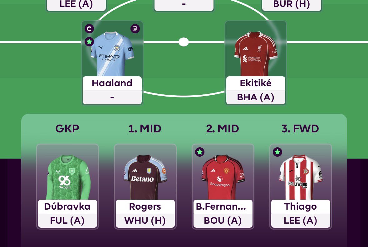 FPL Pigeon (Tommy) tweet media