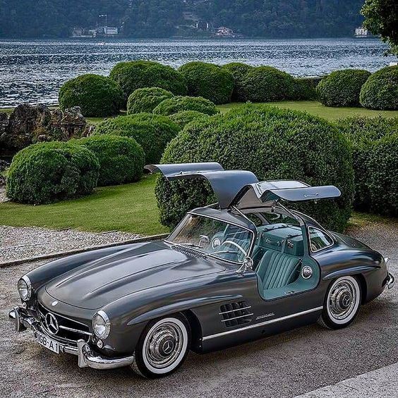 ♠️ Gentleman ♠️ tweet media