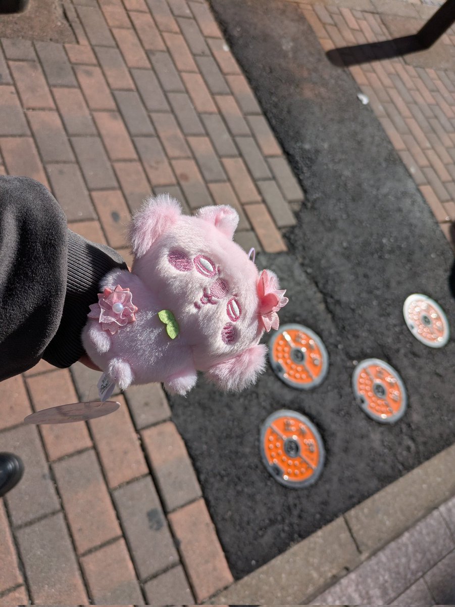 7ﾁｬﾝ(3)@をた活垢 tweet media