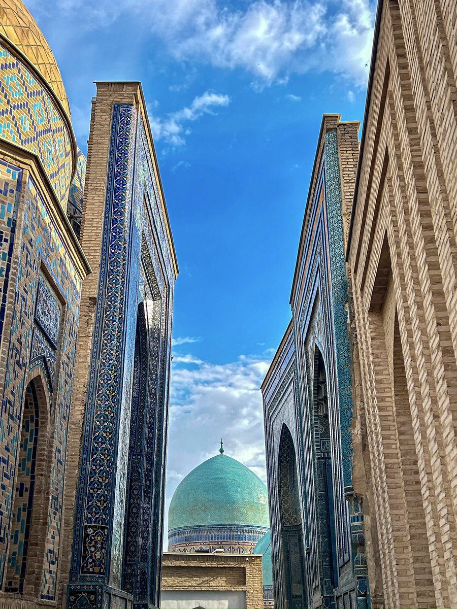 Globe Tucker tweet media