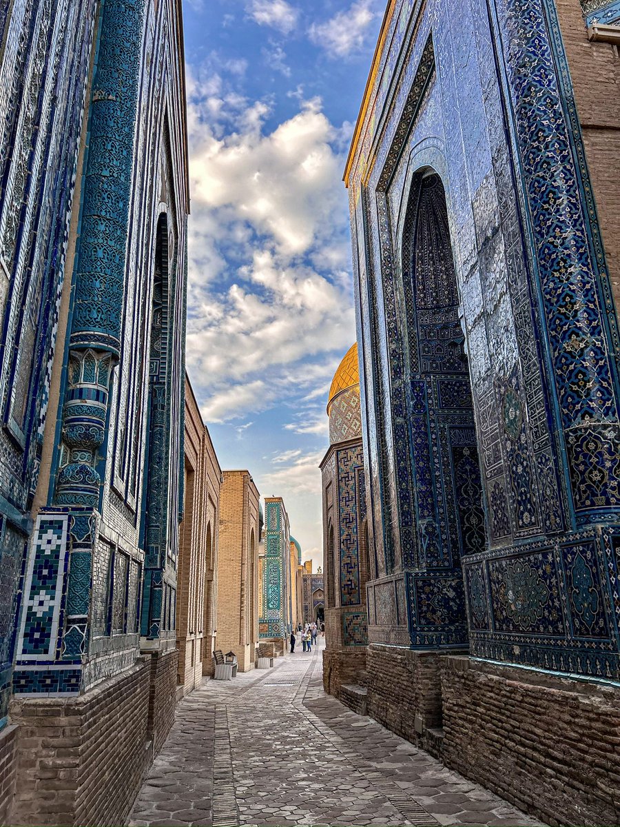 Globe Tucker tweet media