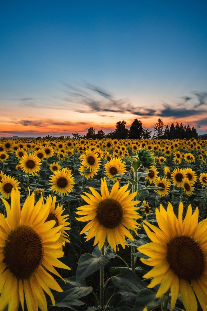 kelly mehl tweet media