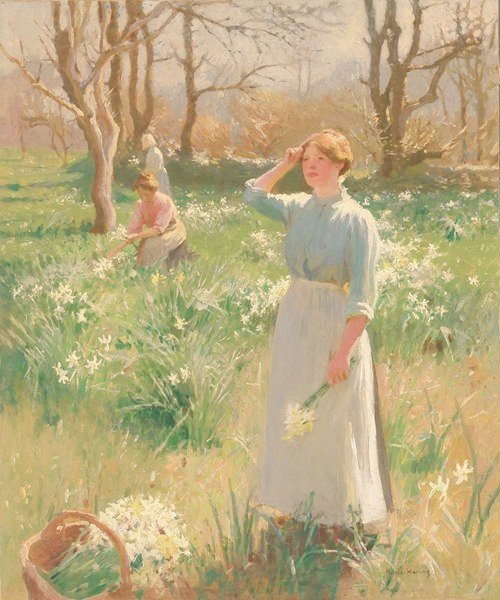 Cian McCarthy tweet media