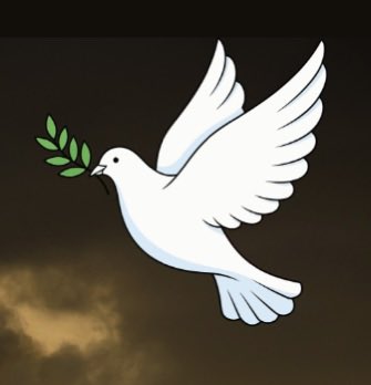 Bishop Denis Nulty tweet media