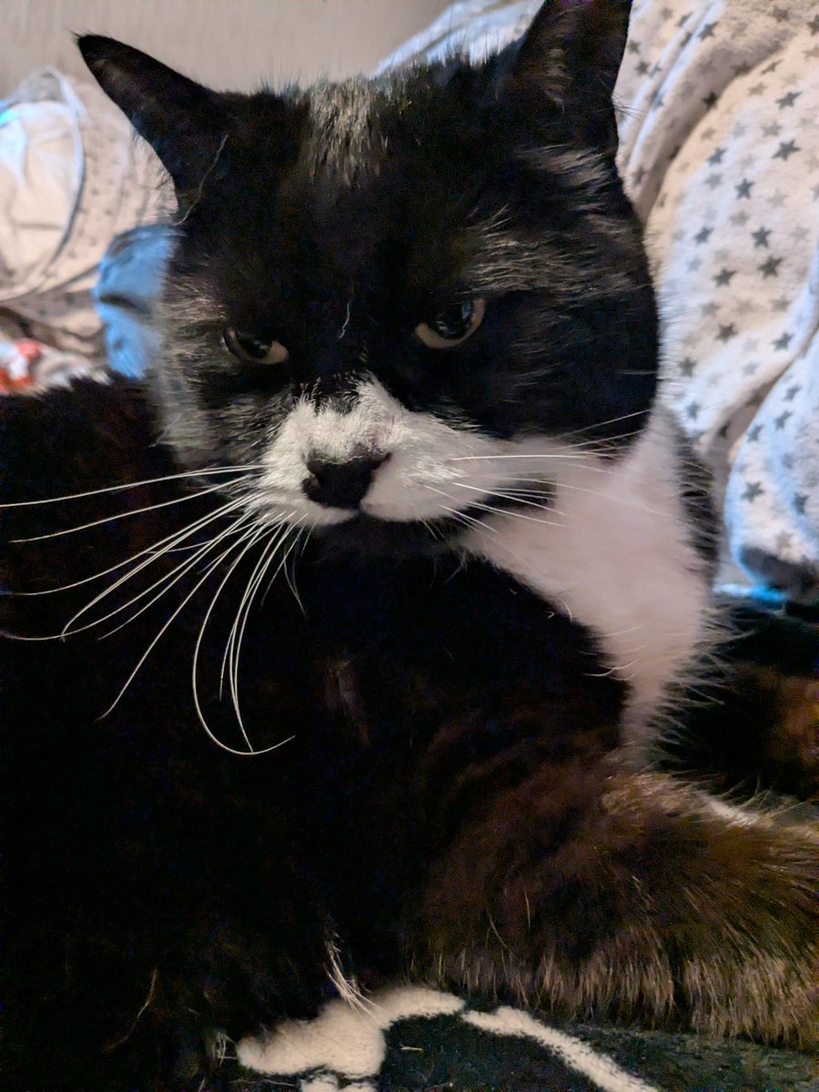 @Bryan 💜 Tinks tweet media