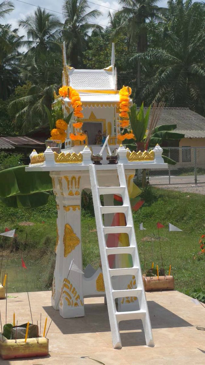 Tom Rowsell tweet media