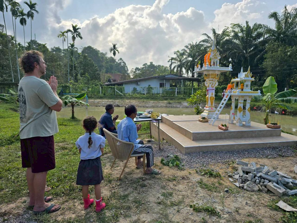 Tom Rowsell tweet media