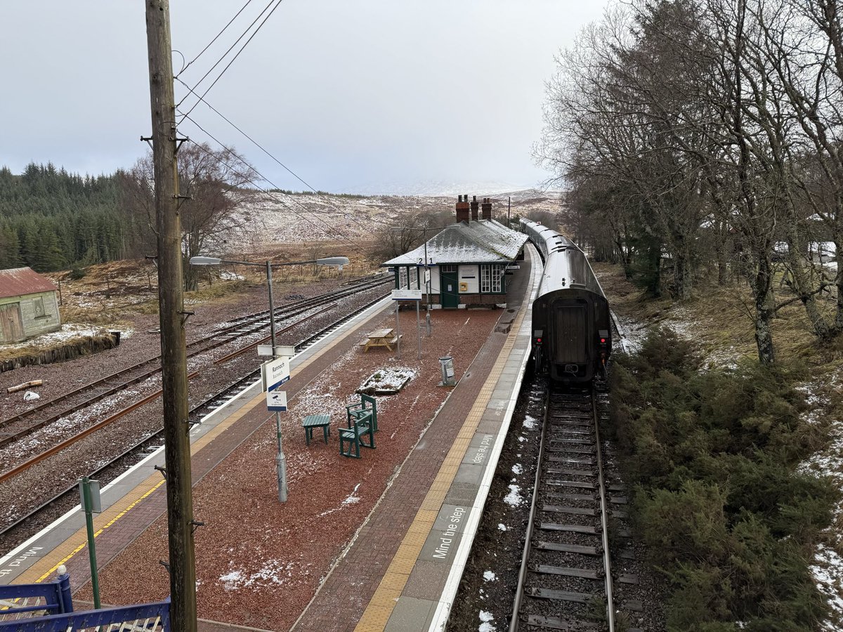 Denis Robson tweet media