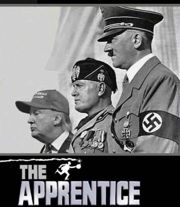 Steely Bosnian 🇧🇦 🇵🇸 tweet media