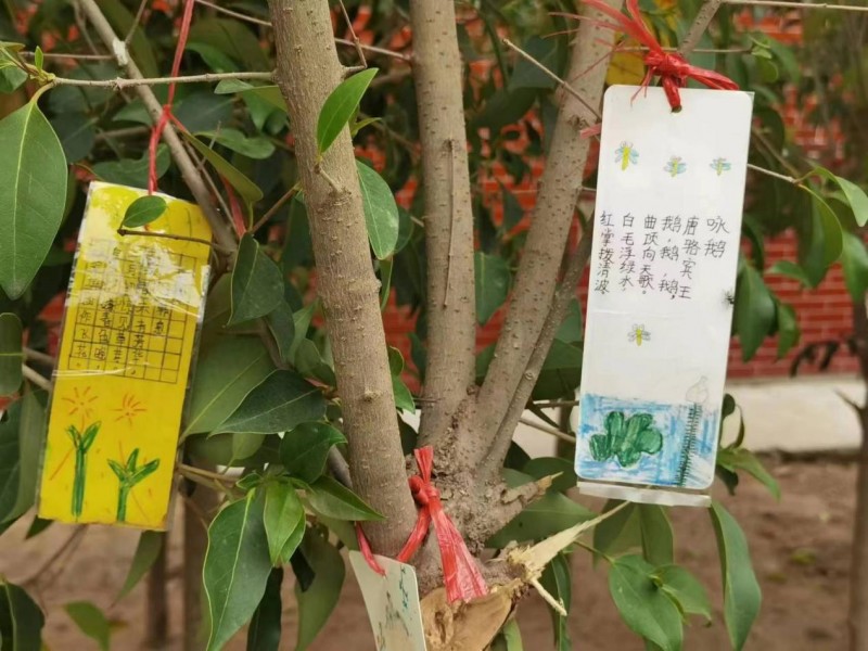 sandra bosanquet tweet media