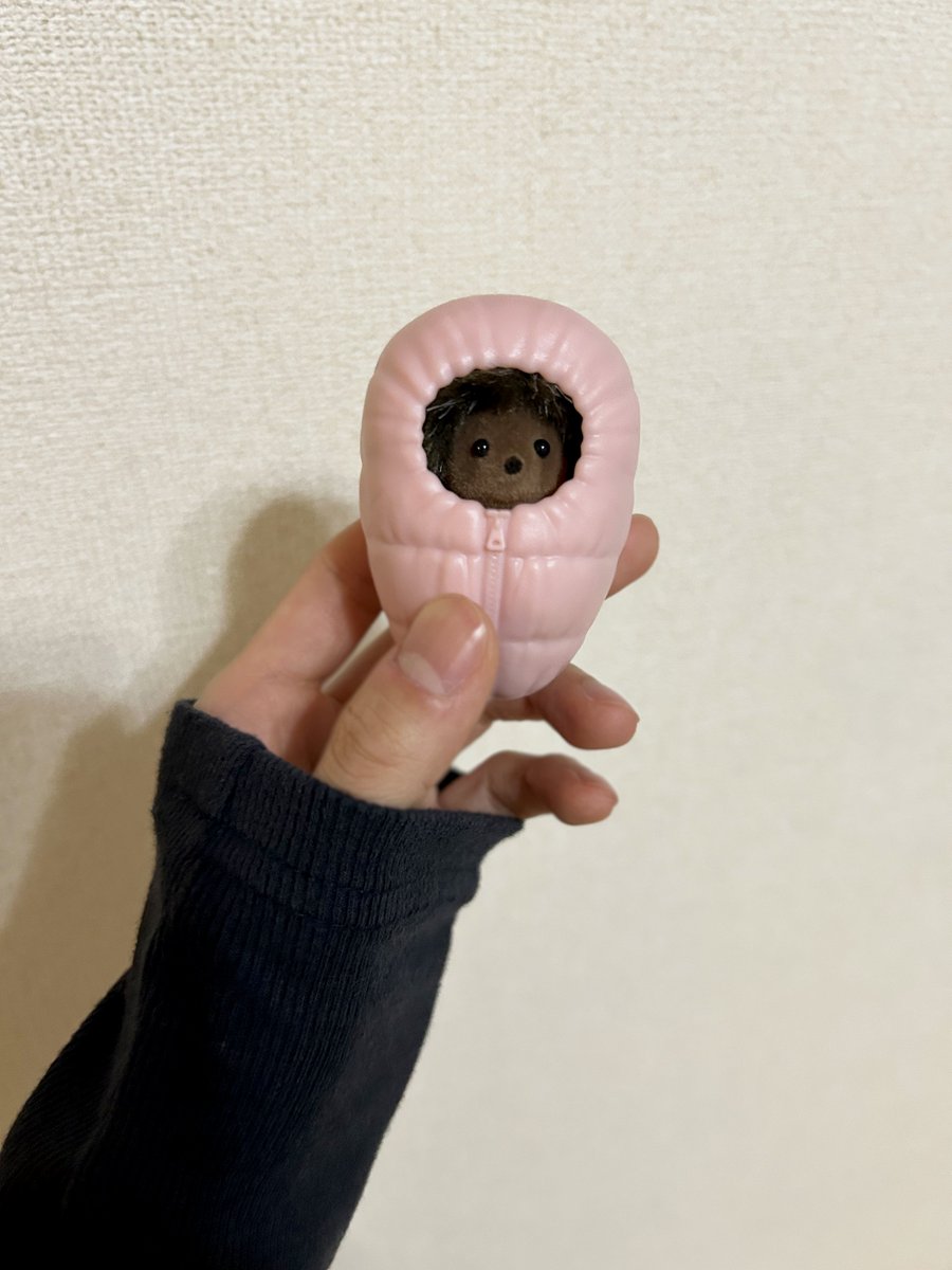 株式会社エノア【公式】@愛知県豊田市 tweet media